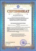 Всероссийский вебинар "Система работы дошкольной образовательной организации по профилактике детского дорожно-транспортного травматизма" (2 часа)